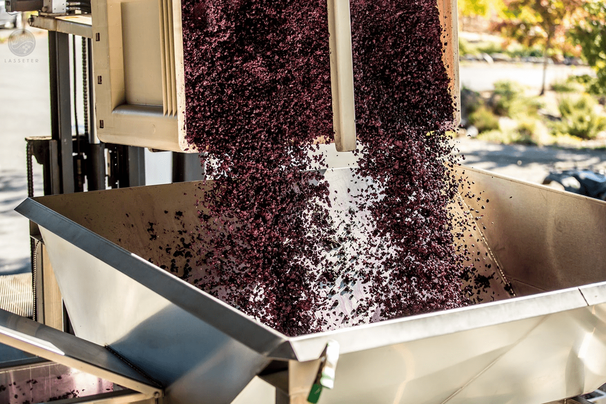 Le-4-macro-fasi-della-produzione-del-vino