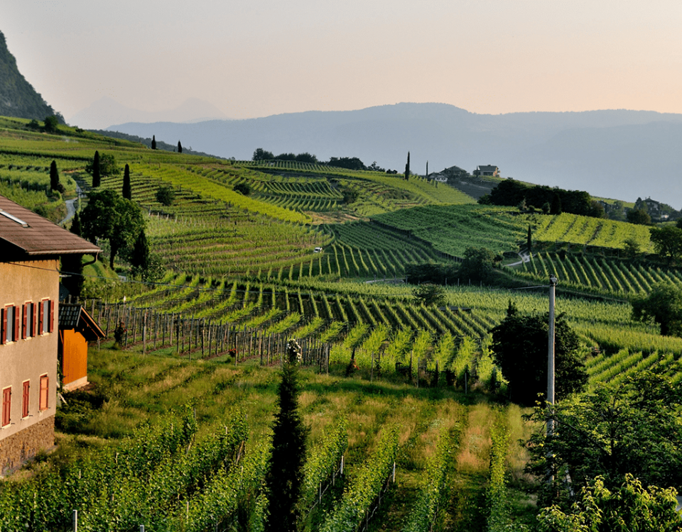 Cosa-sono-le-Rive-del-Prosecco