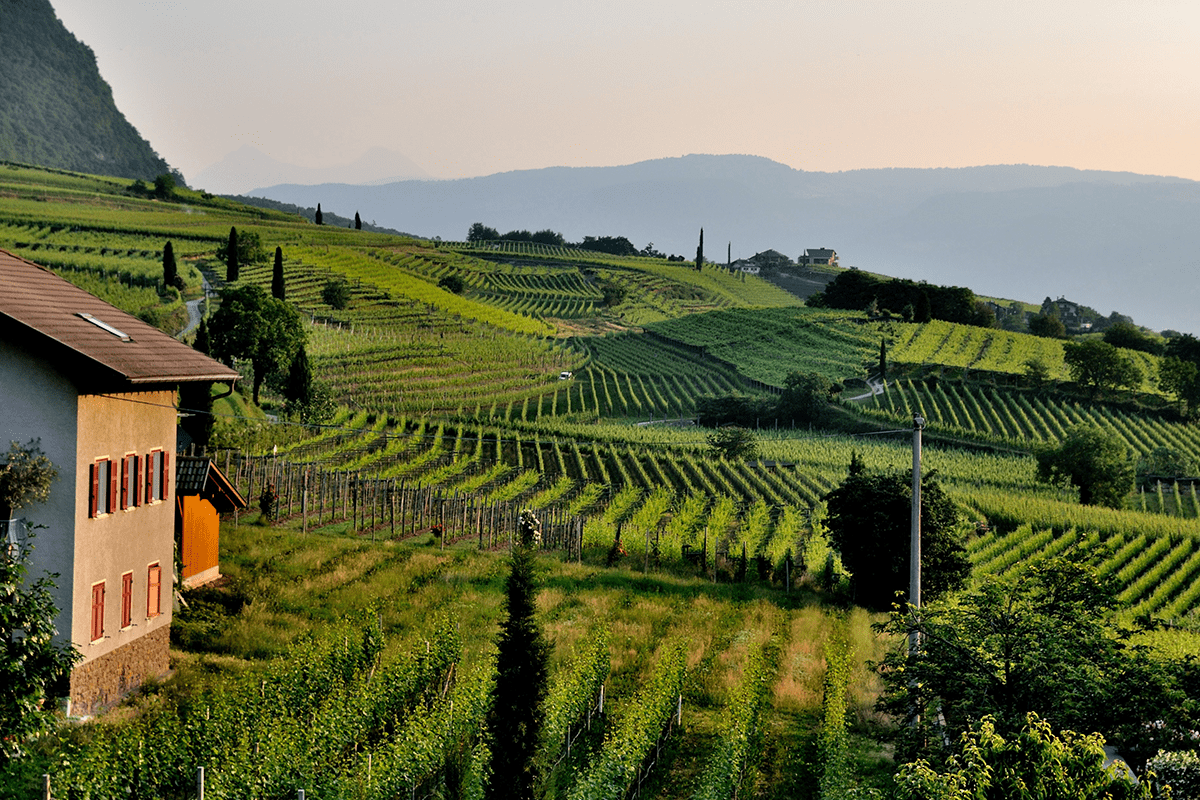 Cosa-sono-le-Rive-del-Prosecco